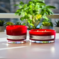 Подобри домови и градини Црвена лава цитрус 12oz миризлива свеќа со 2-вик
