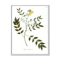 DesignArt 'Антички ботаники xviii' Традиционална врамена платно wallидна уметност печатење