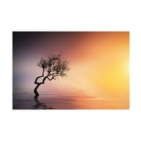 Бес Хамити „Дрво на езерото“ платно уметност