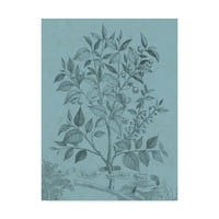 Трговска марка ликовна уметност „Ботаничка на Teal v 'Canvas Art by Vision Studio