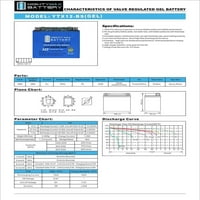 ГЕЛОТ YTX12-BS Го Заменува Полначот KAWASAKI ZZR 02 - + 12V 2Amp