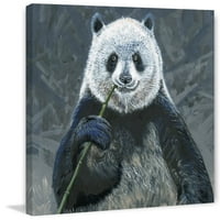 Панда со бамбус сликарство печати на завиткано платно