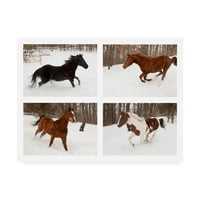 Трговска марка ликовна уметност „Четири коњи во зимска“ платно уметност од Монте Наглер