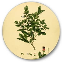 Дизајн на „Антички растителен живот XXV“ Традиционална метална wallидна уметност - диск од 11