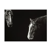 Julie T Chapman 'Cowboy Scratchboard III' Canvas Art