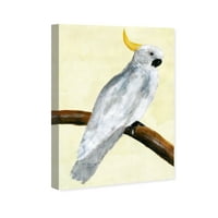Wynwood Studio Animals Wall Art Canvas Prints 'Elegant Cockatoo' птици - бела, жолта боја